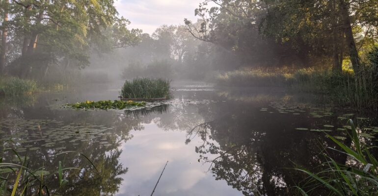 The Decoy Pond